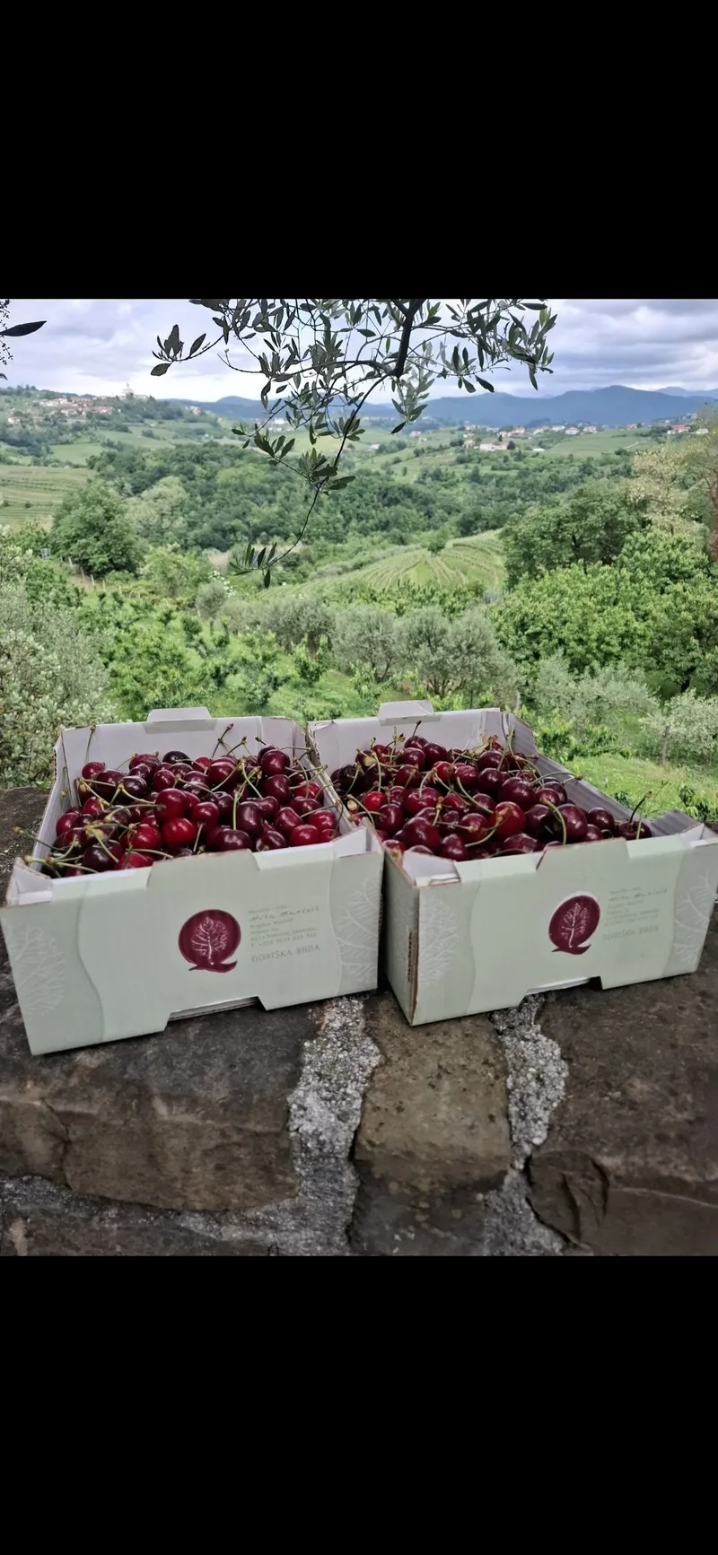 Briške češnje, Hiša Marinič
