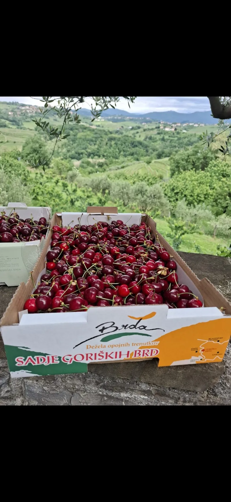 Briške češnje, Hiša Marinič
