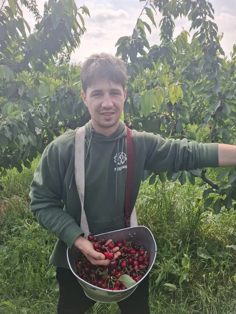 Briške češnje, Hiša Marinič
