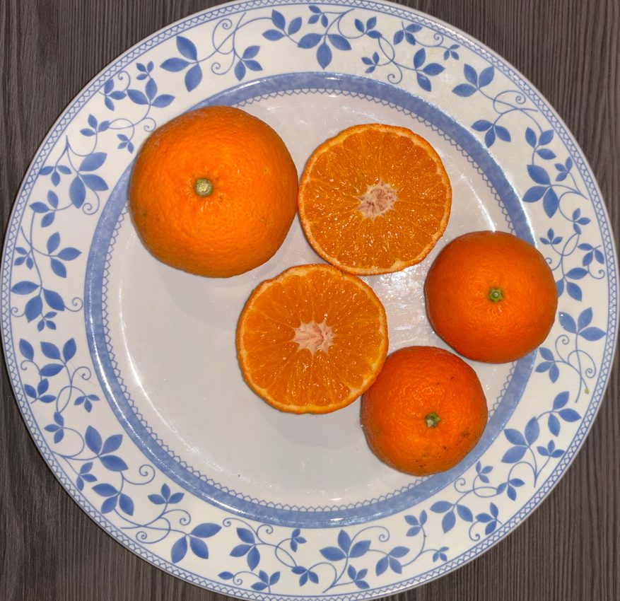 Sicilijanske BIO klementine, Hiša Marinič