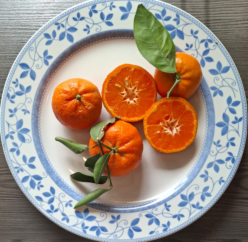 Sicilijanske BIO mandarine Tango, Hiša Marinič
