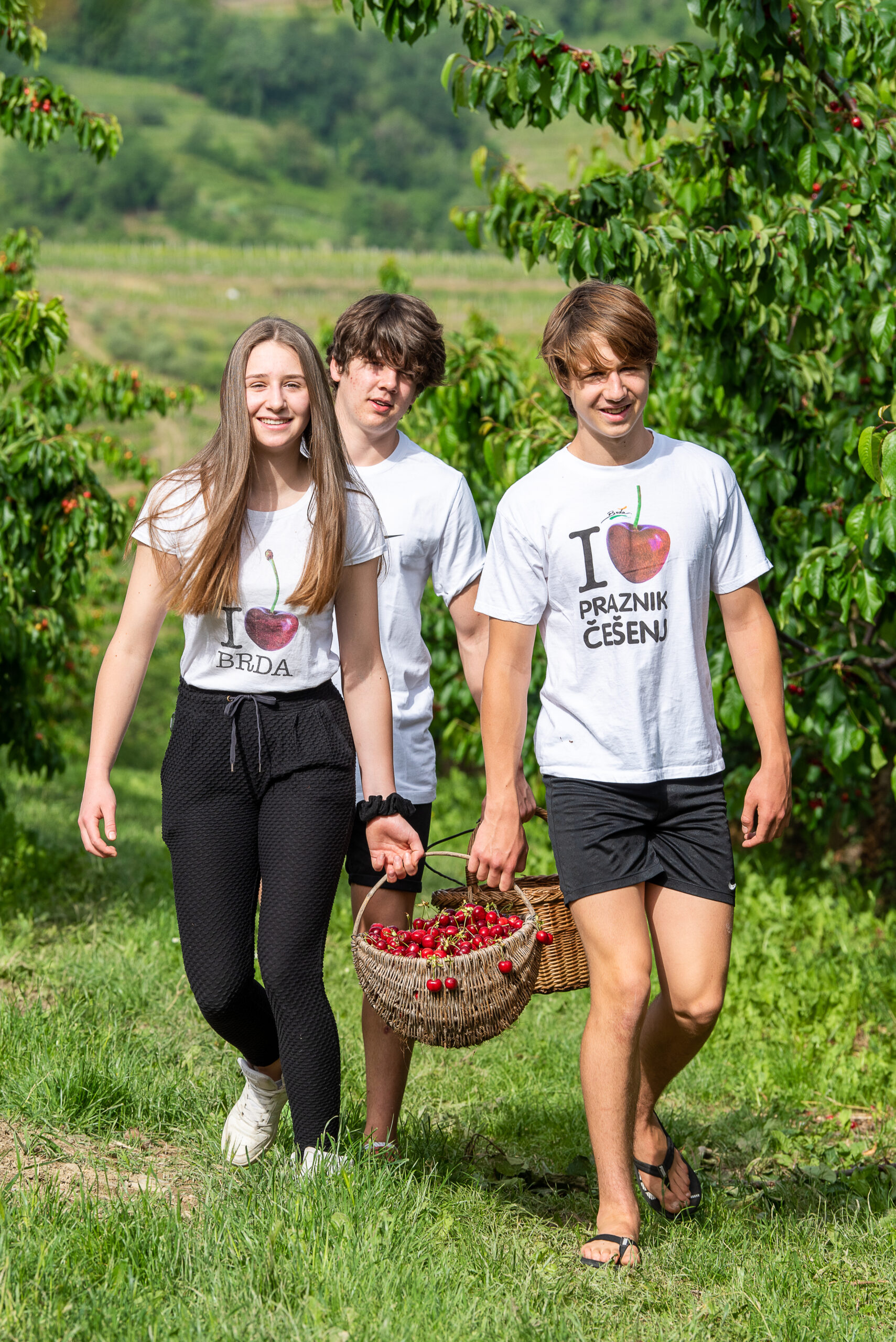 Češnje (1 kg, 2 kg, 4 kg) Češnje (1 kg, 2 kg, 4 kg)