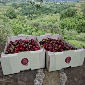 Češnje (1kg, 2kg, 4kg)